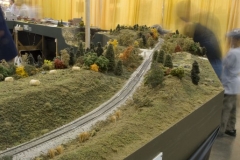 2010 NMRA National Train Show Free-mo Exhibit