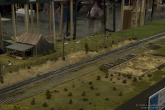 2010 NMRA National Train Show Free-mo Exhibit