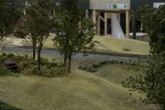 2010 NMRA National Train Show Free-mo Exhibit