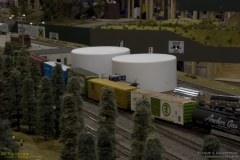 2010 NMRA National Train Show Free-mo Exhibit