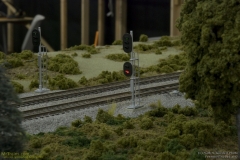 2010 NMRA National Train Show Free-mo Exhibit