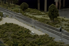 2010 NMRA National Train Show Free-mo Exhibit