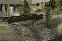 2010 NMRA National Train Show Free-mo Exhibit