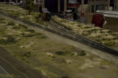 2010 NMRA National Train Show Free-mo Exhibit