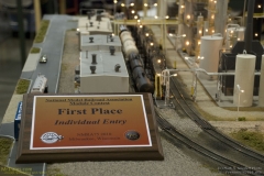 2010 NMRA National Train Show Free-mo Exhibit