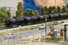 2010 NMRA National Train Show Free-mo Exhibit