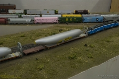 2010 NMRA National Train Show Free-mo Exhibit
