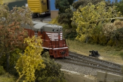 2010 NMRA National Train Show Free-mo Exhibit