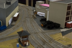 2010 NMRA National Train Show Free-mo Exhibit
