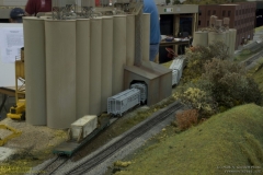 2010 NMRA National Train Show Free-mo Exhibit