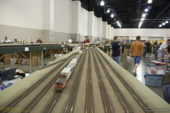 2010 NMRA National Train Show Free-mo Exhibit